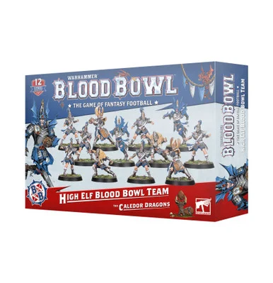 GW202-62 BLOOD BOWL: High Elf Blood Bowl Team