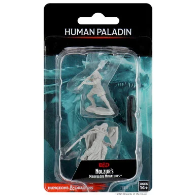 Wizkids 73830 Dungeons & Dragons Nolzur`s Marvelous Unpainted Miniatures: Female Human Paladin