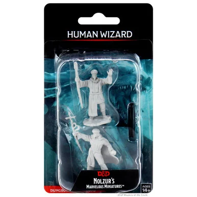 Wizkids 90137 Dungeons & Dragons Nolzur`s Marvelous Unpainted Miniatures: Human Wizard Male
