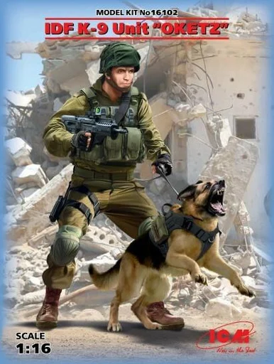 1/16 ICM IDF K-9 Unitz OKETZ