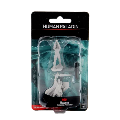 Wizkids 90060 Dungeons & Dragons Nolzur`s Marvelous Unpainted Miniatures: Male Human Paladin