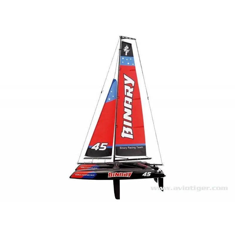 Binary rtr - JOYSWAY HOBBY