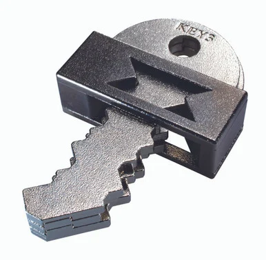 Hanayama 30756 Key Master Cast Puzzle - University Games