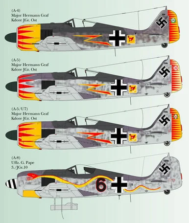 1/48 Lifelike Decals Fw 190 p-3