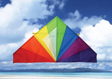 Skydog Kites SKK11157 Classic Delta 55"