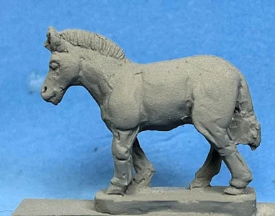 PIG170206 - ZEBRAS (6)