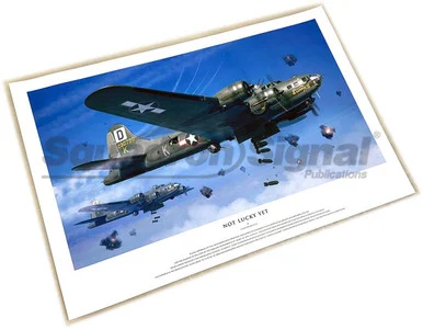 Squadron Signal Art - B-17F Sunny II Poster (12x18)