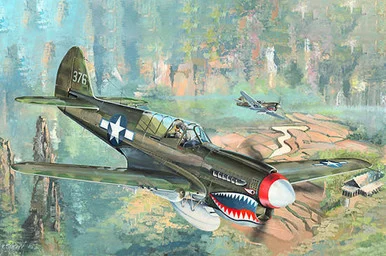 1/32 Trumpeter P40N Warhawk Fighter