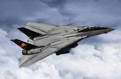 1/144 Trumpeter F14B Tomcat Fighter