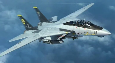 1/144 Trumpeter F14D Tomcat Fighter