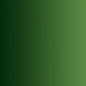 Vallejo Xpress Color 18ml Bottle Forest Green