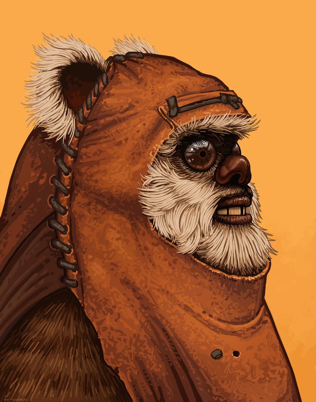 Wicket - Mike Mitchell
