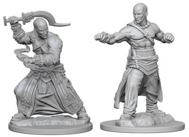 Wizkids 72612 Pathfinder Deep Cuts Unpainted Miniatures: Male Human Monk