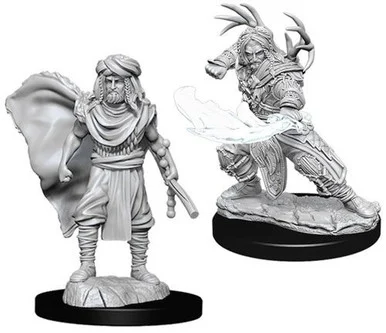 Wizkids 73390 Dungeons & Dragons: Nolzur's Marvelous Unpainted Miniatures: Male Human Druid
