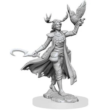D&D Frameworks: W1 Female Human Druid - WizKids - WZK