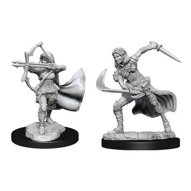 Wizkids 90305 Dungeons & Dragons Nolzur's Marvelous Unpainted Miniatures: Air Genasi Female